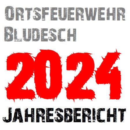 Jahresbericht 2024